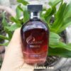 Nước hoa charme Pinnacle 100ml