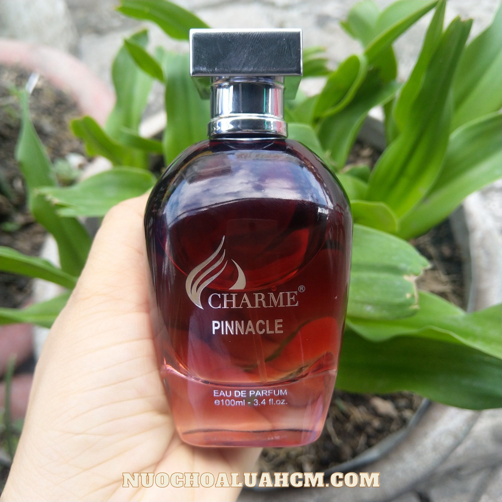 Nước hoa charme Pinnacle 100ml